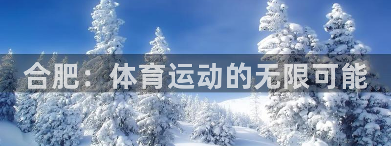 凯发官方正版app集团官网首页网址:合肥:体育运动的无限可能